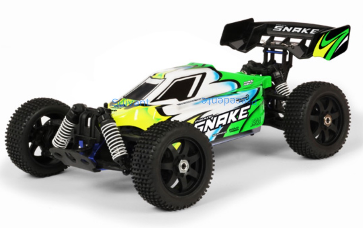 T2M PIRATE SNAKE Buggy rc électrique brushless 100% RTR LIPO ET CHARGEUR